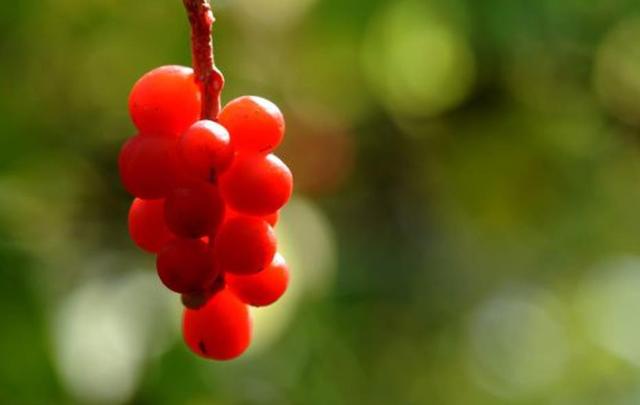 人到五十，要記住：有淚，偷偷流，有苦，默默受