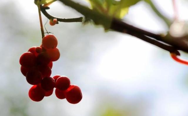 人到五十，要記住：有淚，偷偷流，有苦，默默受