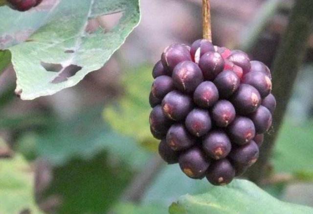 人到五十，要記住：有淚，偷偷流，有苦，默默受