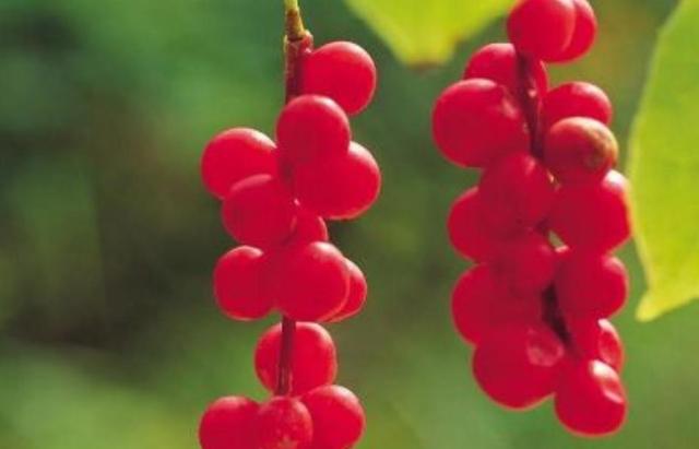 人到五十，要記住：有淚，偷偷流，有苦，默默受