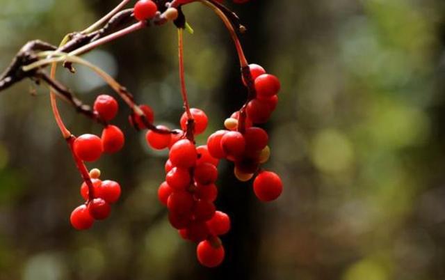 人到五十，要記住：有淚，偷偷流，有苦，默默受
