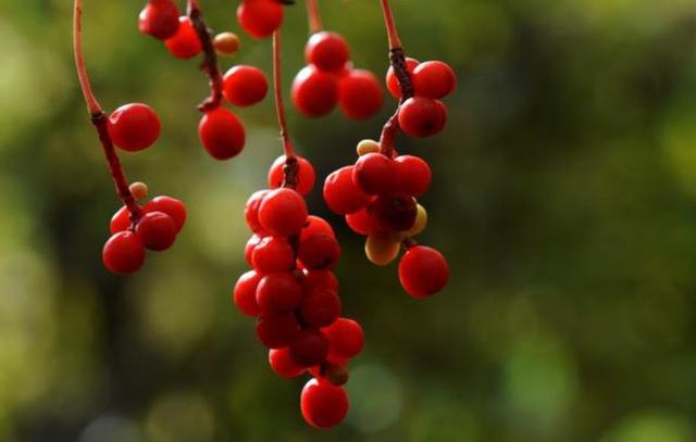 人到五十，要記住：有淚，偷偷流，有苦，默默受