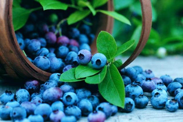 一個人受的苦多了，這四個“地方”會變得與眾不同，真奇怪