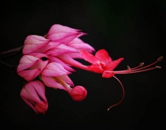 直到跌入人生的谷底，我才明白：落魄時，無非是這四種境遇