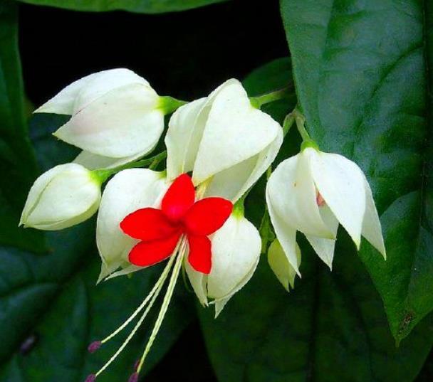 直到跌入人生的谷底，我才明白：落魄時，無非是這四種境遇