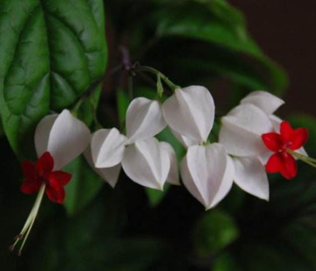 直到跌入人生的谷底，我才明白：落魄時，無非是這四種境遇