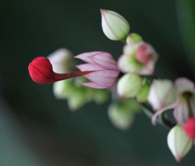 直到跌入人生的谷底，我才明白：落魄時，無非是這四種境遇