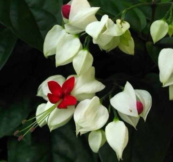 直到跌入人生的谷底，我才明白：落魄時，無非是這四種境遇