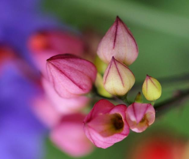 直到跌入人生的谷底，我才明白：落魄時，無非是這四種境遇