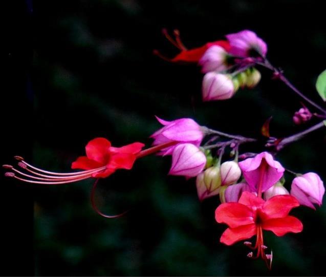 直到跌入人生的谷底，我才明白：落魄時，無非是這四種境遇