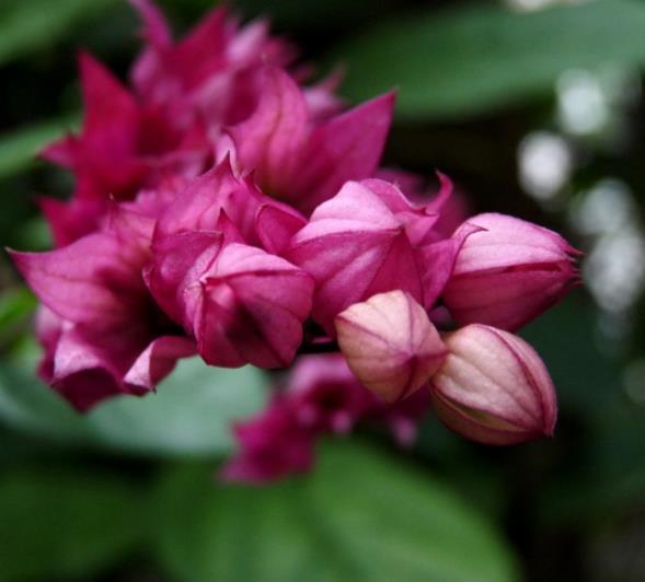 直到跌入人生的谷底，我才明白：落魄時，無非是這四種境遇