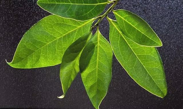 有一種老實，是假老實，被稱作老實怪！