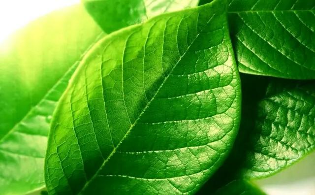 有一種老實，是假老實，被稱作老實怪！