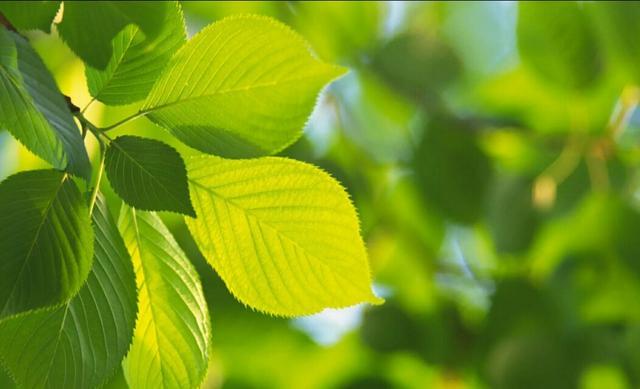 有一種老實，是假老實，被稱作老實怪！