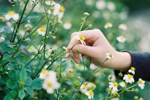 做人，傻一點挺好！