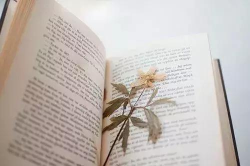 做人，傻一點挺好！