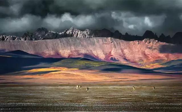 不熬夜，是一個人最好的自律！