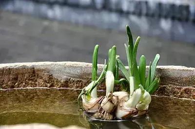 請珍惜人生路上的靈魂伴侶