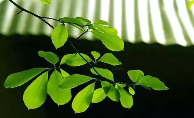 請珍惜人生路上的靈魂伴侶