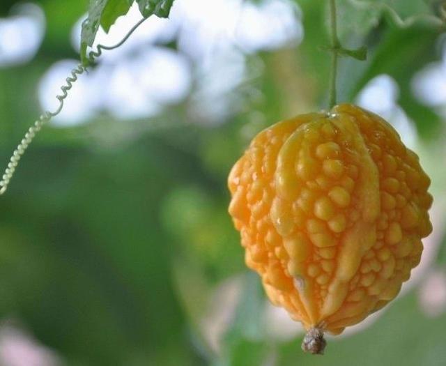 做人要懂得：這三件事別掏心，否則朋友也做不成