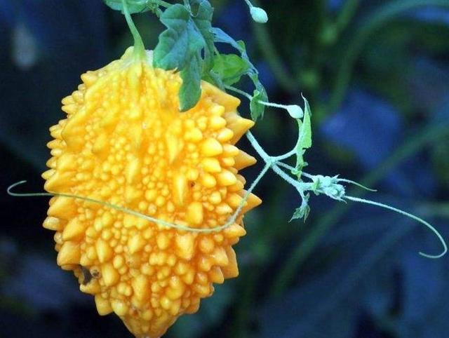 做人要懂得：這三件事別掏心，否則朋友也做不成