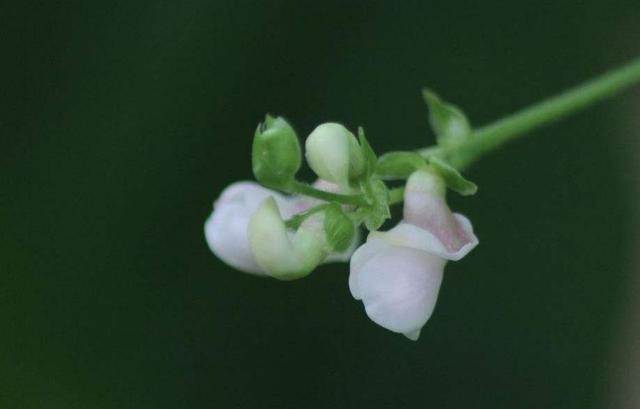 人算不如天算,這幾件事,我們要學會認命