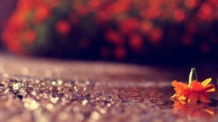 別慣壞了別人,而委屈了自己(說得句句真實在理)