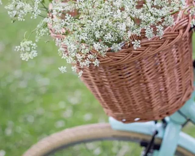 希望所有的不愉快，過完今年趕緊翻篇