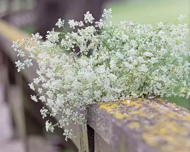 希望所有的不愉快，過完今年趕緊翻篇