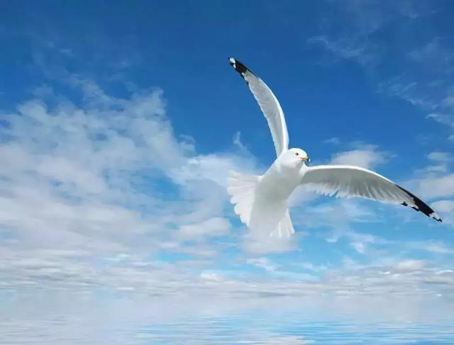 與人相處，貴在真心！