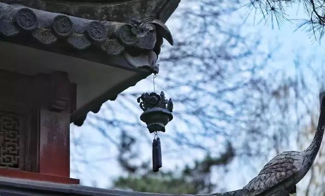 生活不簡單，盡量簡單過