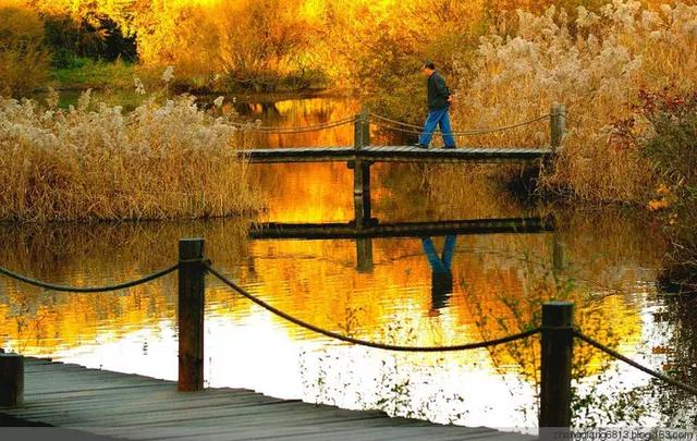 生活不簡單，盡量簡單過