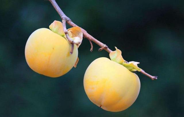 生活總是有點欺軟怕硬，懂得拒絕，才會贏得真正的尊重