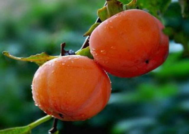 生活總是有點欺軟怕硬，懂得拒絕，才會贏得真正的尊重