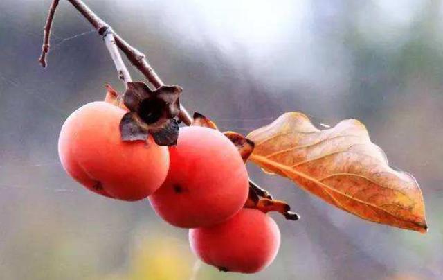生活總是有點欺軟怕硬，懂得拒絕，才會贏得真正的尊重