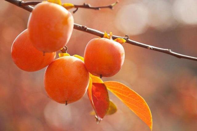 生活總是有點欺軟怕硬，懂得拒絕，才會贏得真正的尊重