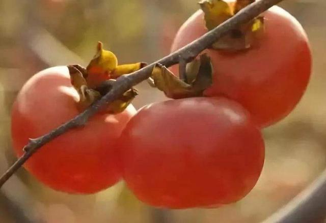 生活總是有點欺軟怕硬，懂得拒絕，才會贏得真正的尊重