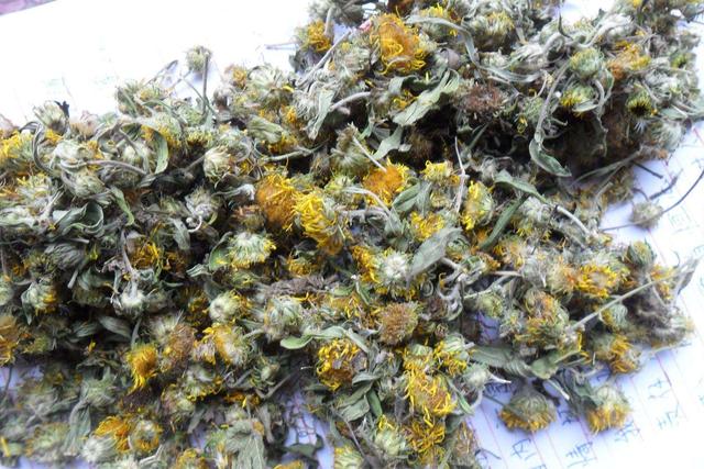 這種花可不是“野菊花”，它的藥用價值更高更珍貴，別錯過了