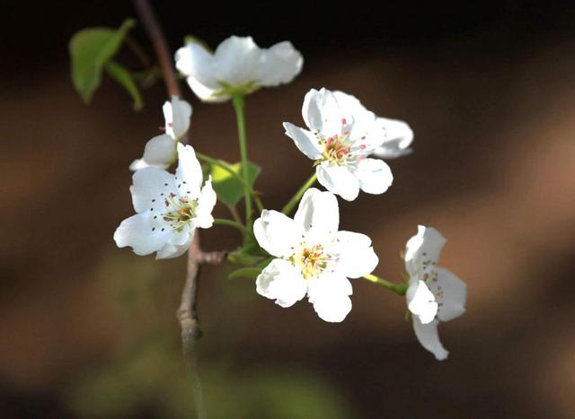 你若安好，我不打擾