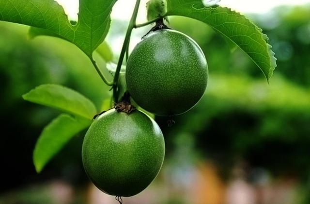 做人要懂得：並不是所有的人，都會分享你的喜悅