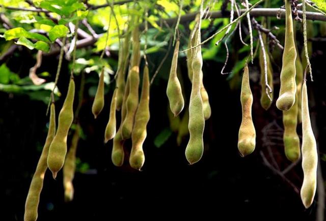 人到六十,餘生不長,覓一處靜地,慢慢地老去,可好