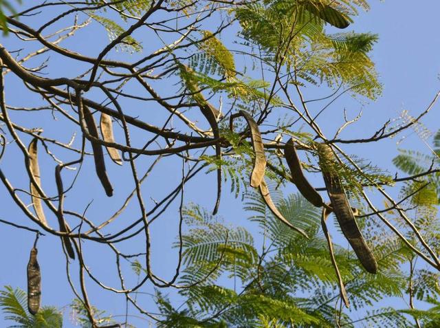 人到六十，餘生不長，覓一處靜地，慢慢地老去，可好