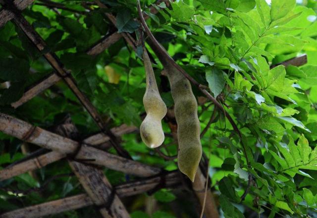 人到六十，餘生不長，覓一處靜地，慢慢地老去，可好