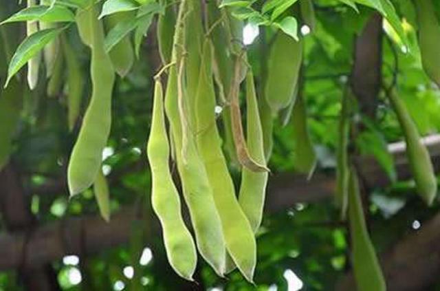 人到六十，餘生不長，覓一處靜地，慢慢地老去，可好