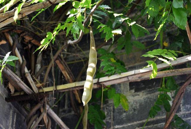 人到六十，餘生不長，覓一處靜地，慢慢地老去，可好