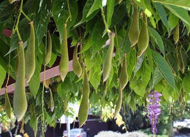 人到六十，餘生不長，覓一處靜地，慢慢地老去，可好