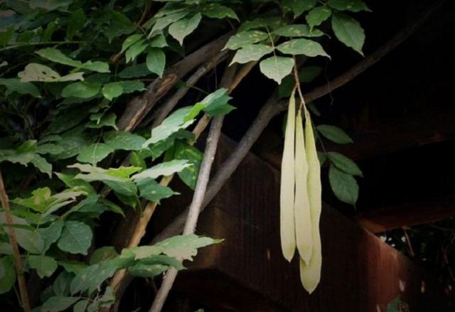 人到六十，餘生不長，覓一處靜地，慢慢地老去，可好