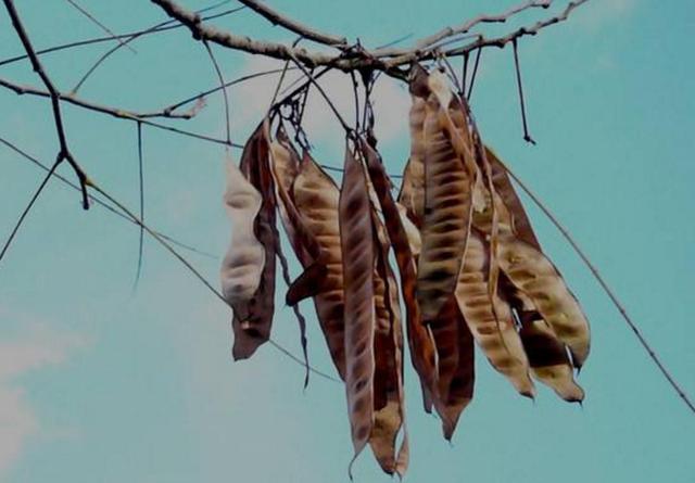 人到六十，餘生不長，覓一處靜地，慢慢地老去，可好