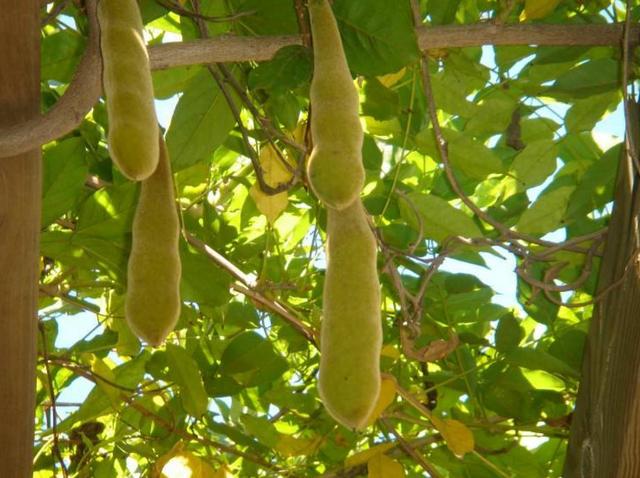 人到六十，餘生不長，覓一處靜地，慢慢地老去，可好