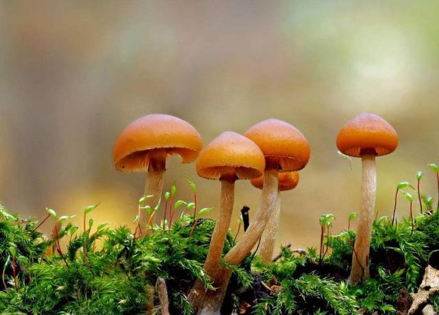 2019年，這四種人，就不要再和他們聯繫了